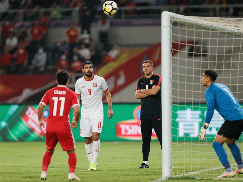 计划和更多 计划和更多